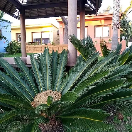 Hotel Dos Mares